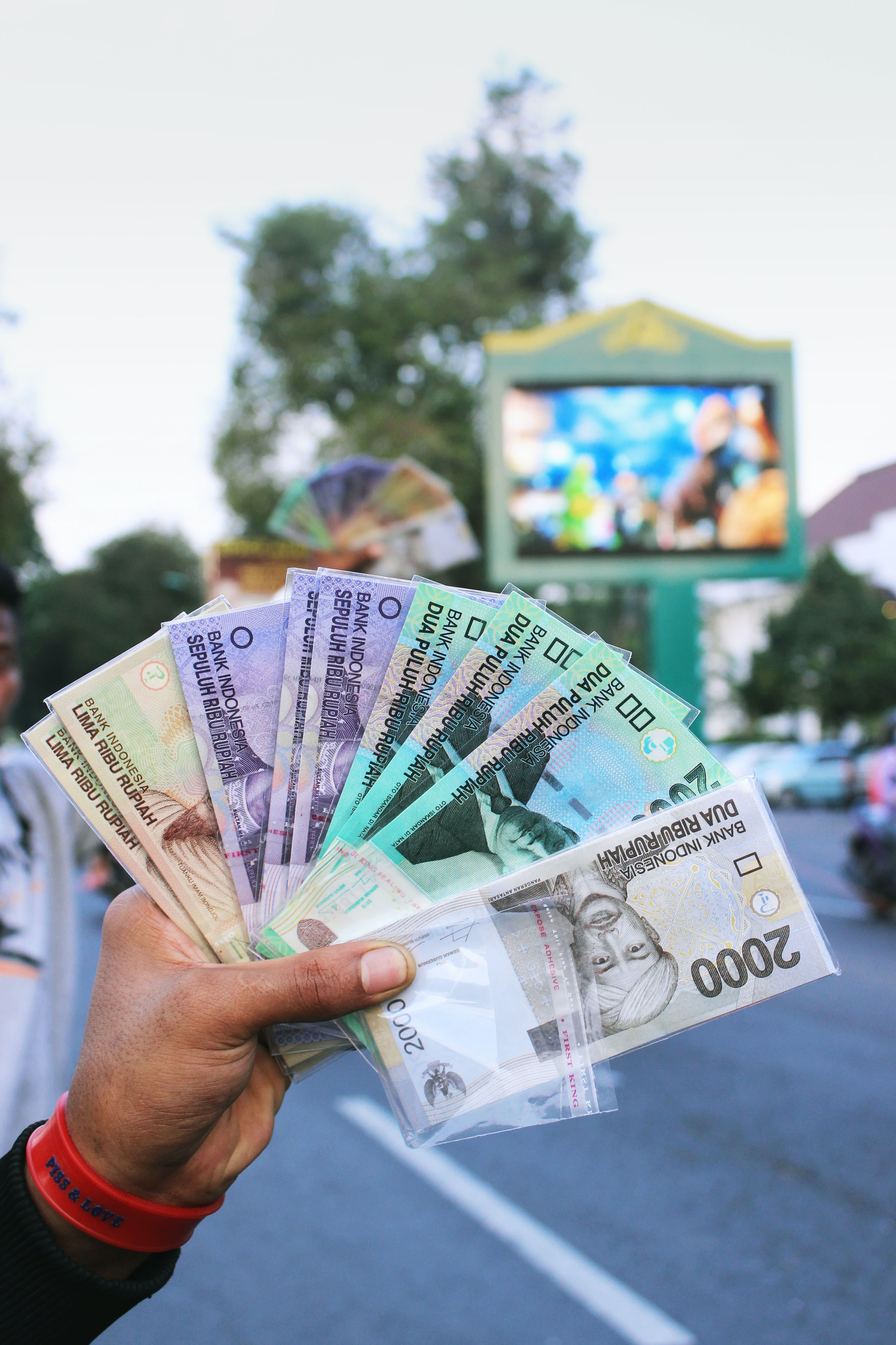 person holding fan of banknote