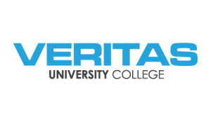 Veritas Design Group logo placeholder